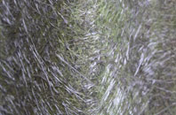 Tubney fibreglass roof work